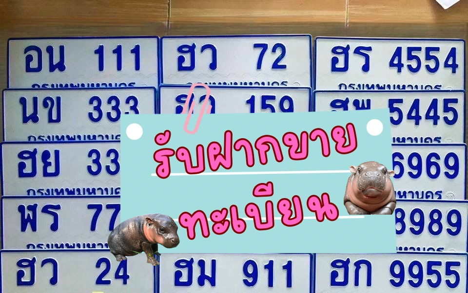 จำหน่ายทะเบียนรถสวย กรุงเทพมหานคร 